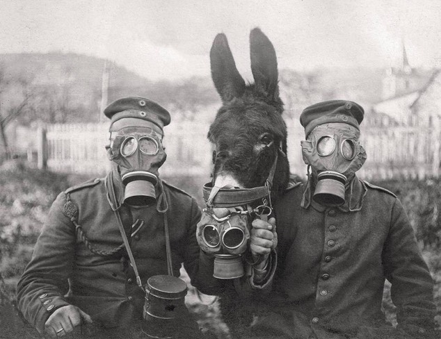 A Donkey and two German soldiers wearing gas masks during World War I, 1917